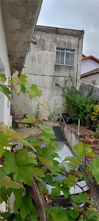 Venda Terreno São Paulo Vila Portuguesa REO930602 50