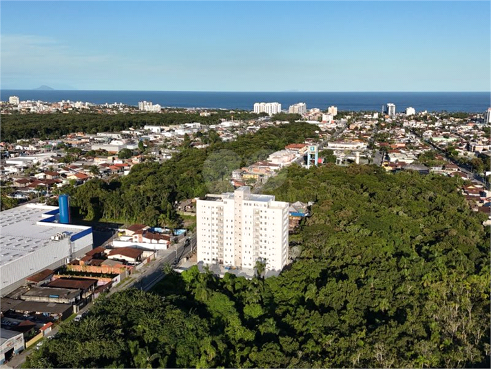 Foto REO930769