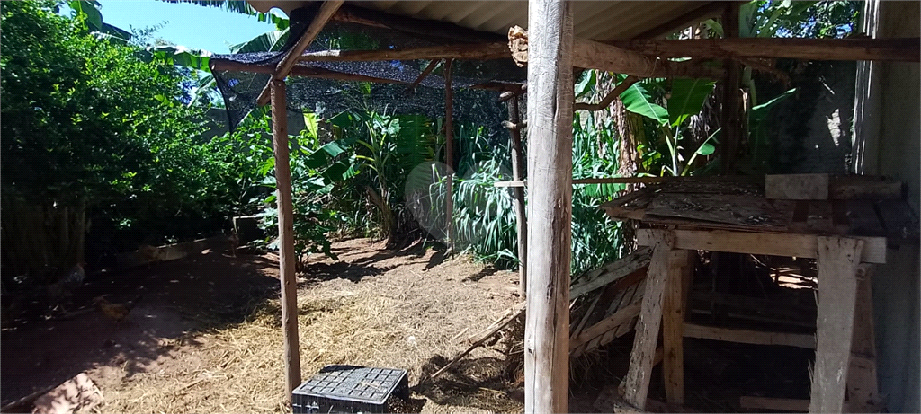 Venda Chácara São João Da Boa Vista Jardim Das Paineiras REO931345 38