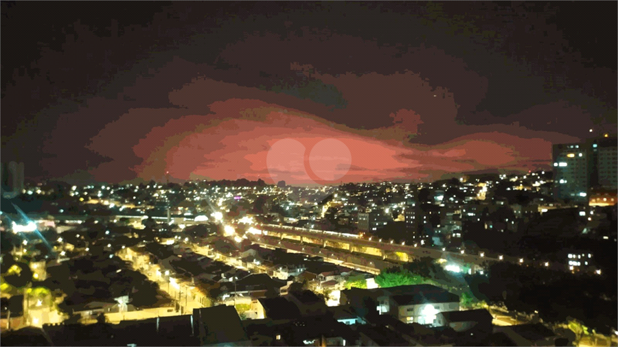 Foto REO931404