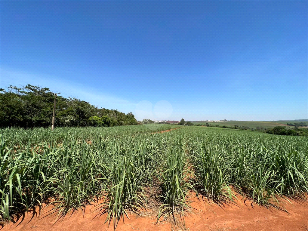 Venda Sítio Limeira Residencial Chácaras São José REO931417 15