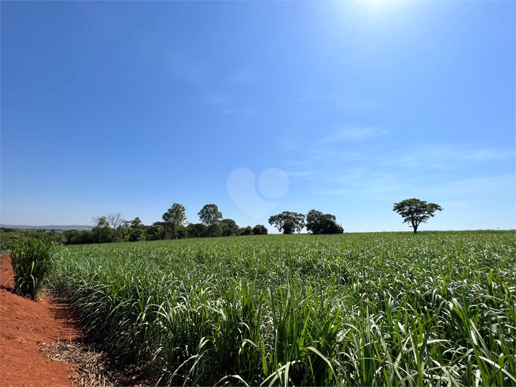 Venda Sítio Limeira Residencial Chácaras São José REO931417 11