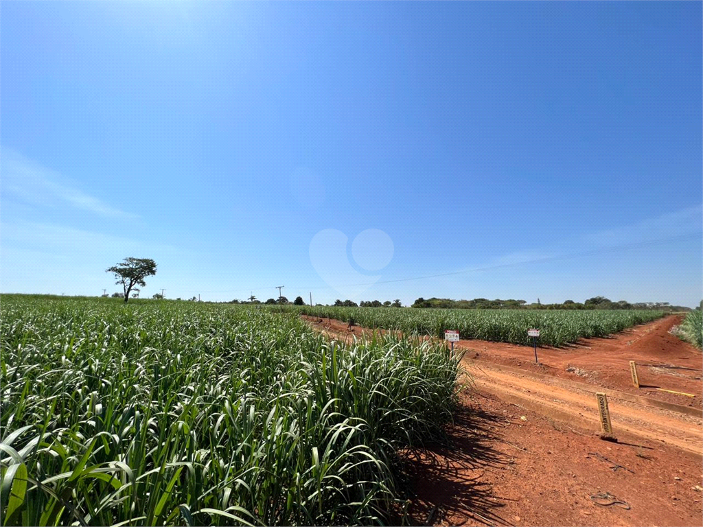 Venda Sítio Limeira Residencial Chácaras São José REO931417 10