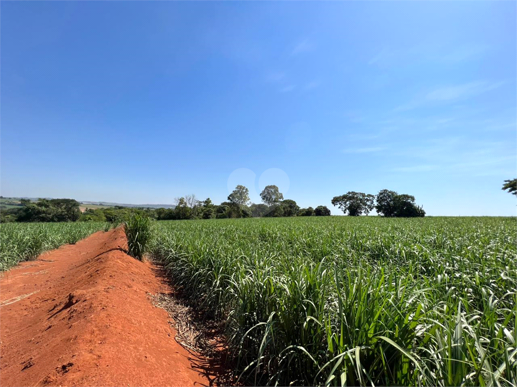 Venda Sítio Limeira Residencial Chácaras São José REO931417 14