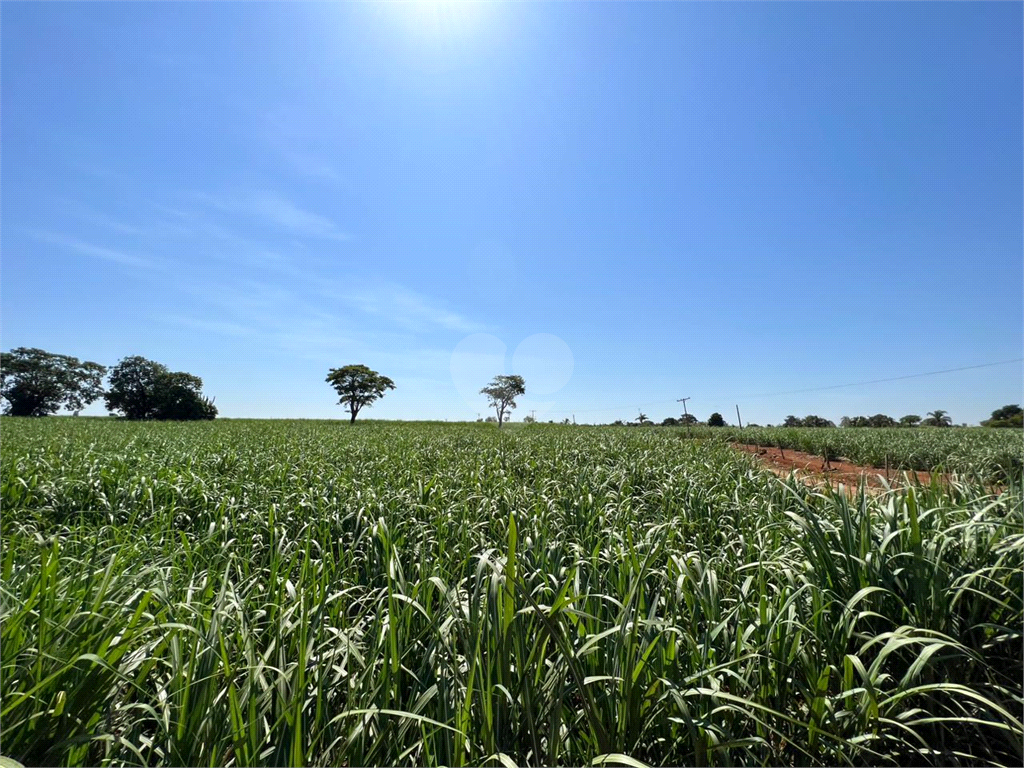 Venda Sítio Limeira Residencial Chácaras São José REO931417 19