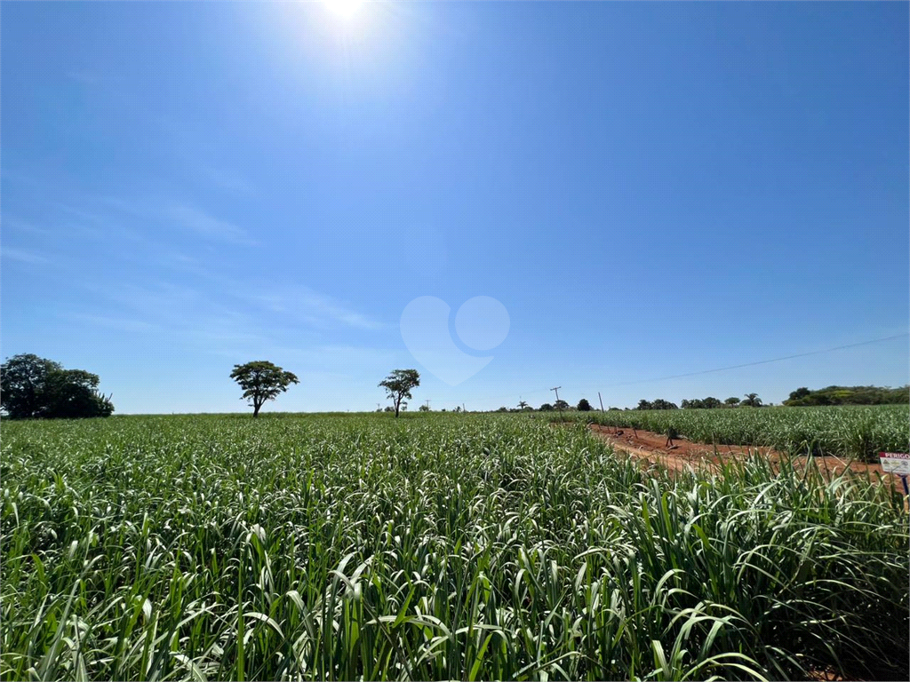 Venda Sítio Limeira Residencial Chácaras São José REO931417 12