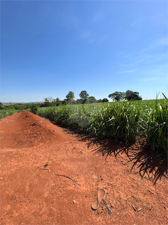 Venda Sítio Limeira Residencial Chácaras São José REO931417 6