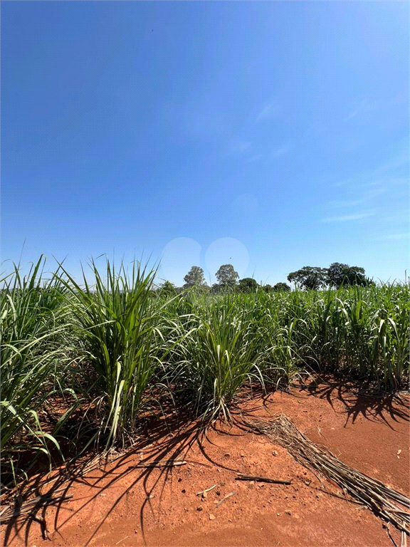 Venda Sítio Limeira Residencial Chácaras São José REO931417 7