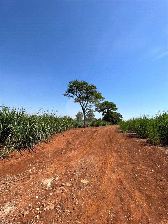 Venda Sítio Limeira Residencial Chácaras São José REO931417 20