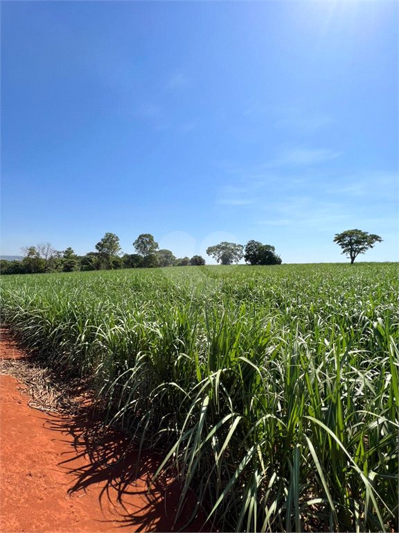 Venda Sítio Limeira Residencial Chácaras São José REO931417 5