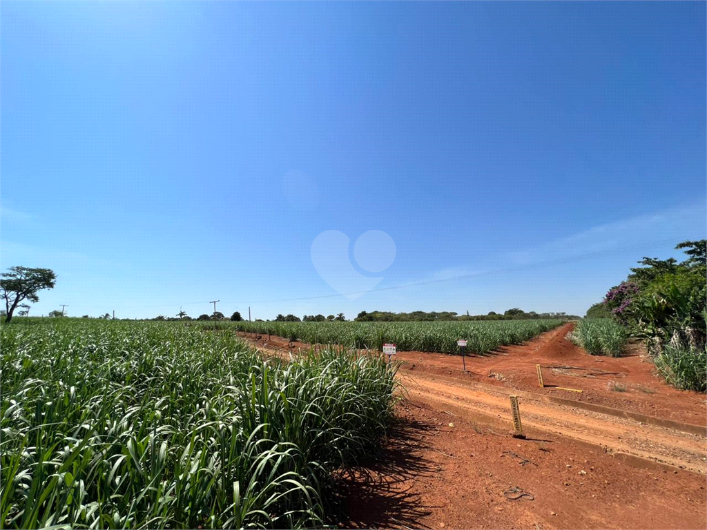 Venda Sítio Limeira Residencial Chácaras São José REO931417 13