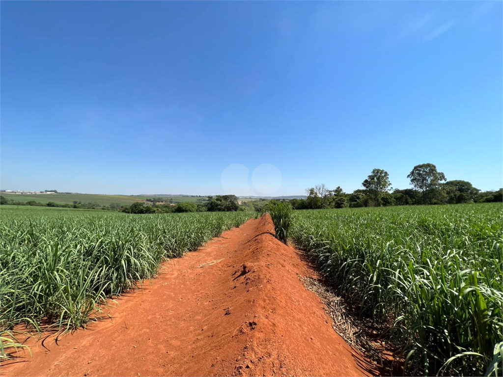 Venda Sítio Limeira Residencial Chácaras São José REO931417 18