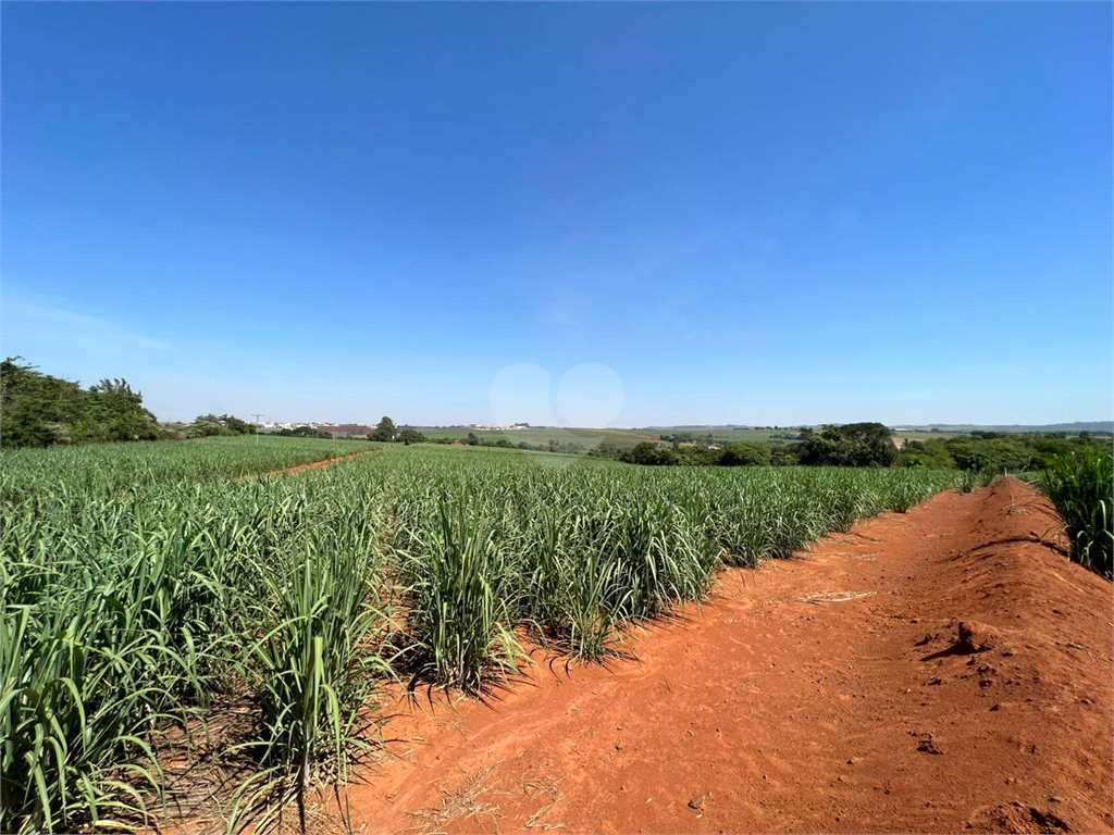 Venda Sítio Limeira Residencial Chácaras São José REO931417 17