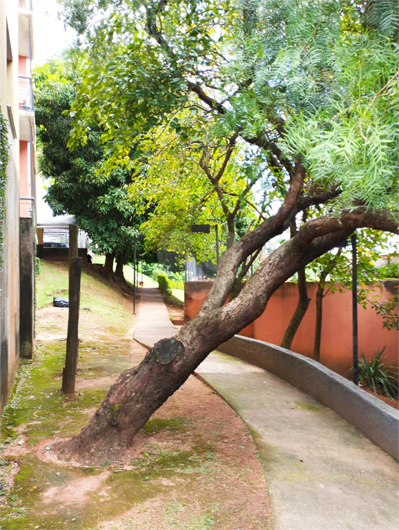 Venda Apartamento São Paulo Conjunto Residencial Vista Verde REO931439 16