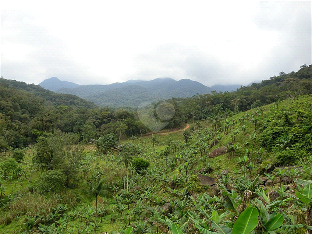 Venda Fazenda Sete Barras Centro REO932526 4