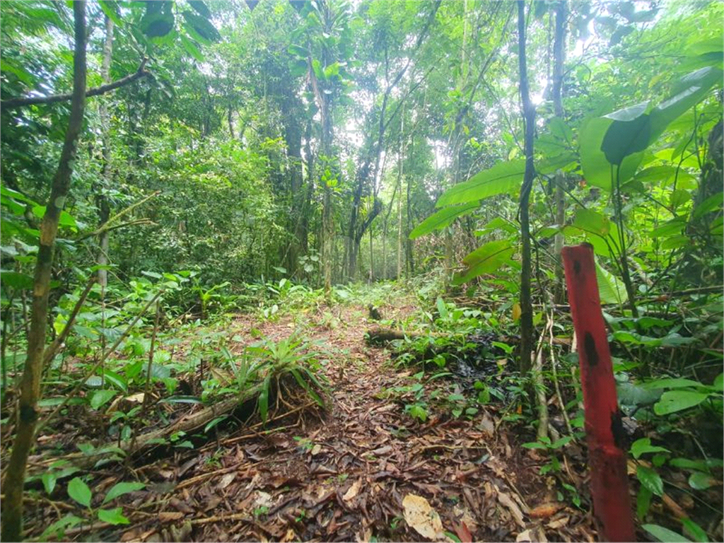 Venda Terreno São Sebastião Sertão Do Camburi REO932698 7