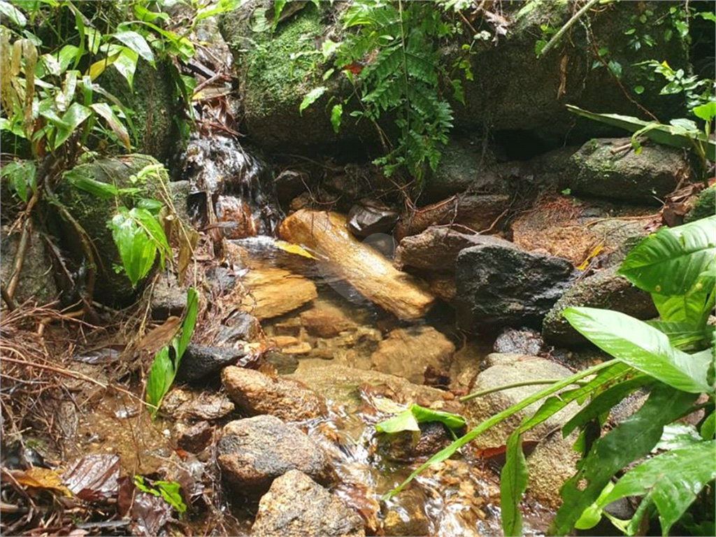 Venda Terreno São Sebastião Sertão Do Camburi REO932698 9