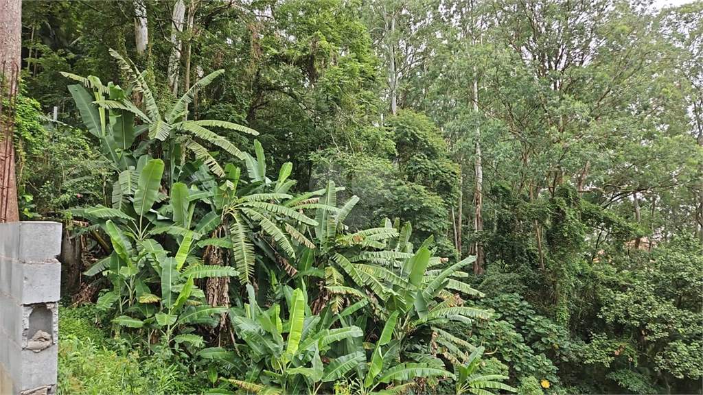 Venda Terreno São Paulo Tucuruvi REO932911 9