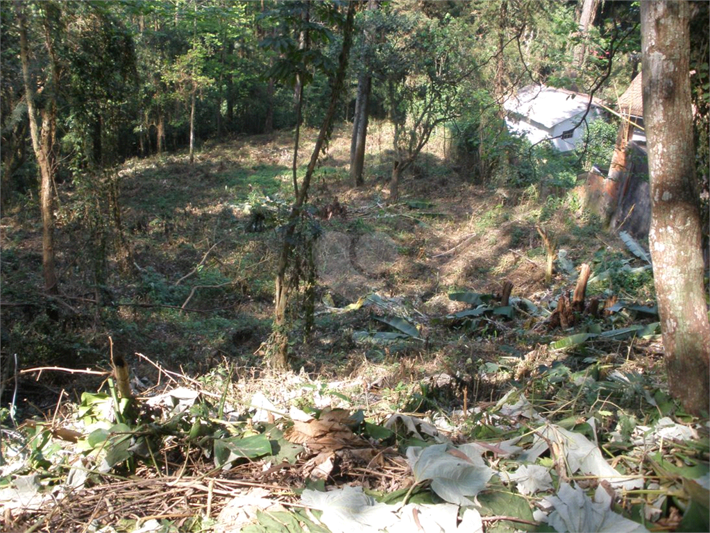 Venda Terreno São Paulo Tucuruvi REO932911 7