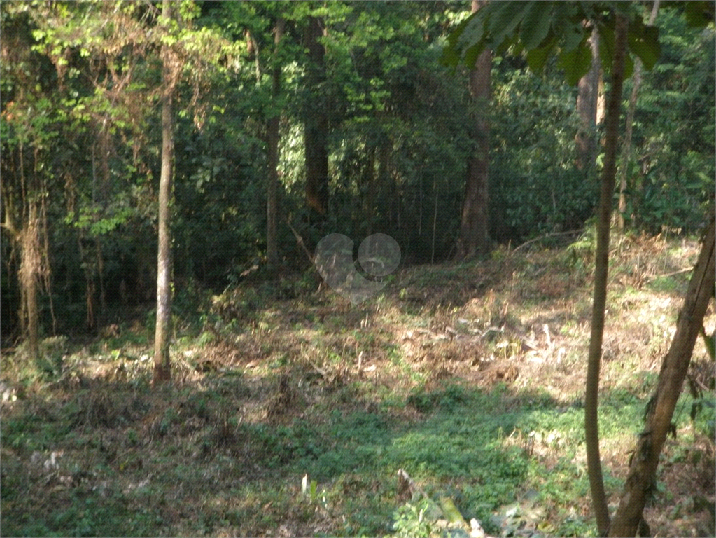 Venda Terreno São Paulo Tucuruvi REO932911 8