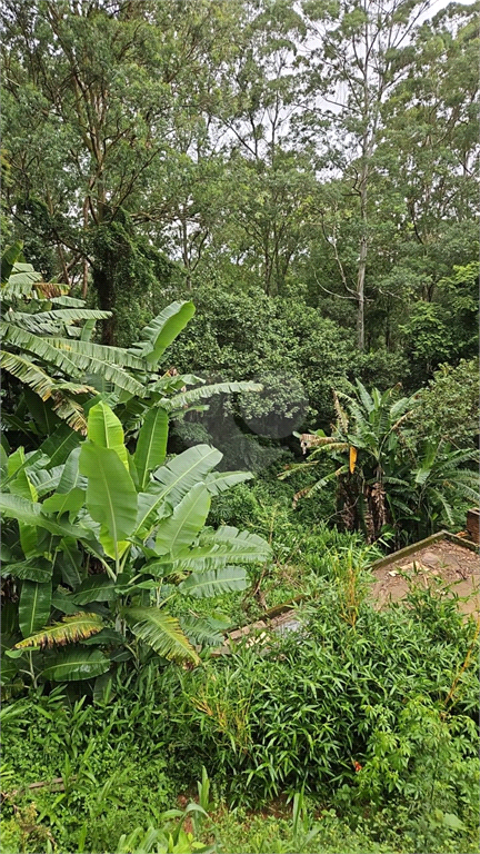 Venda Terreno São Paulo Tucuruvi REO932911 11