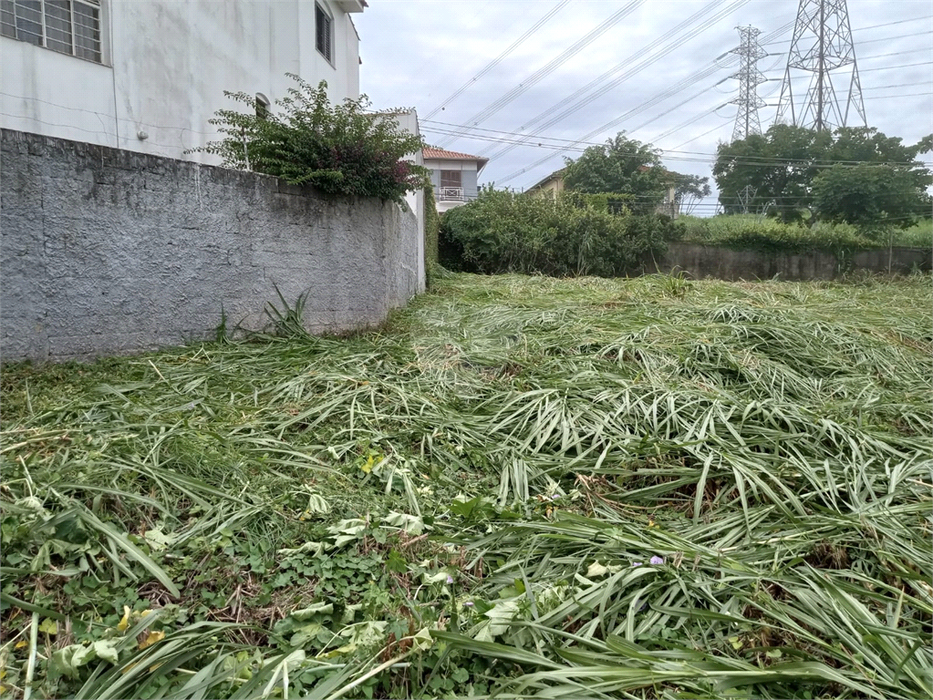 Venda Terreno São Paulo Vila Clarice REO933028 2