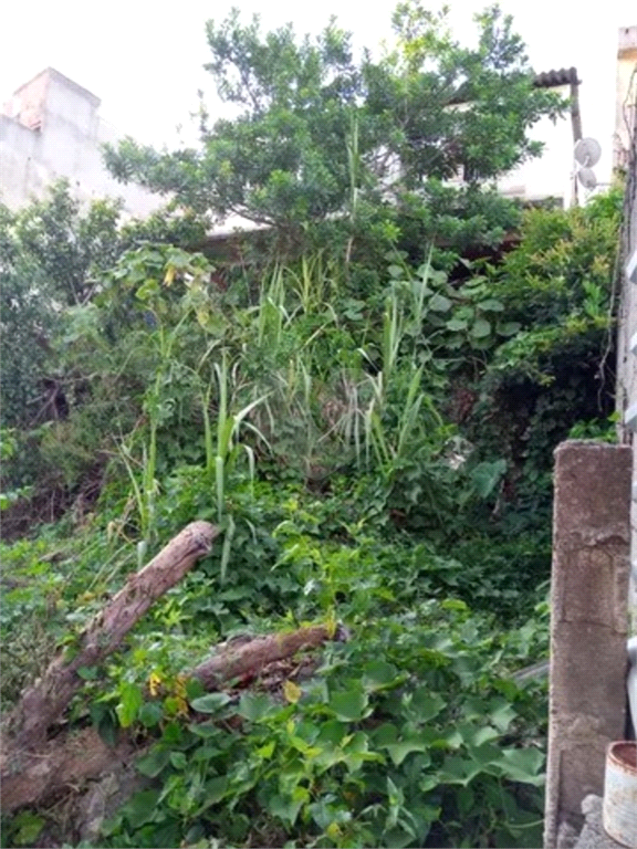 Venda Terreno Várzea Paulista Jardim Promeca REO933613 4