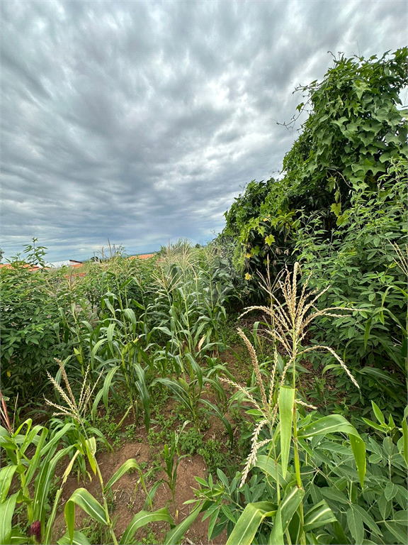 Venda Terreno Limeira Vila Camargo REO934106 10