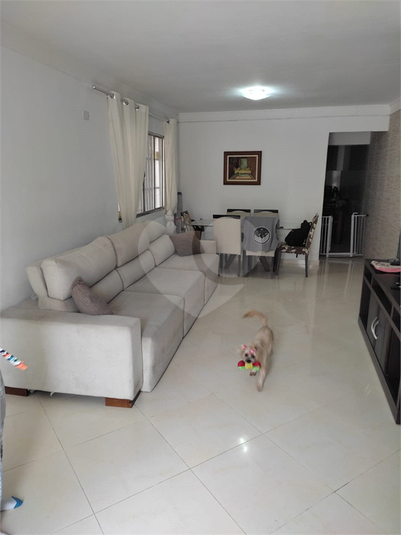 Foto REO934268