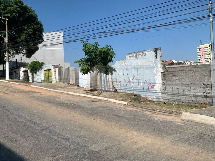 Foto REO934410