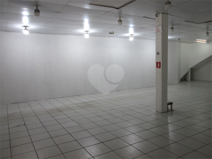Foto REO934467