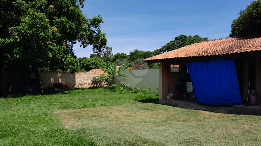 Foto REO934686