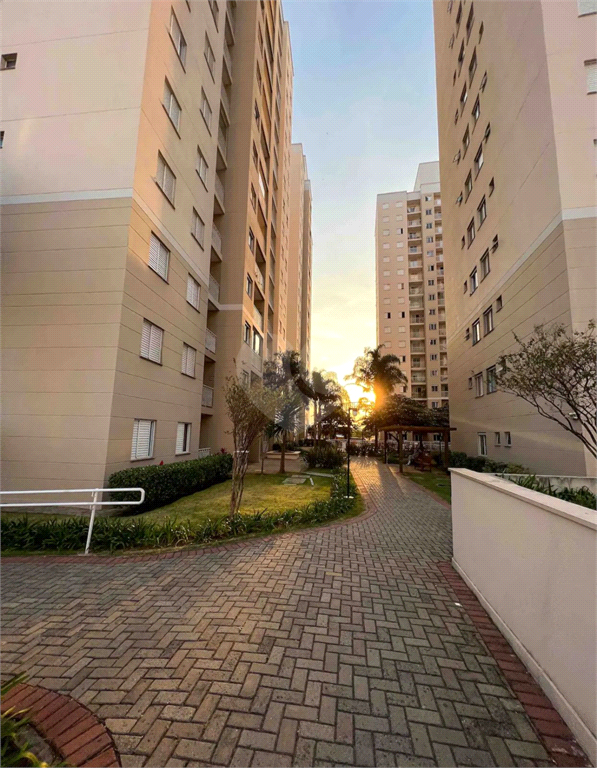 Venda Apartamento Campinas Vila Progresso REO934704 20