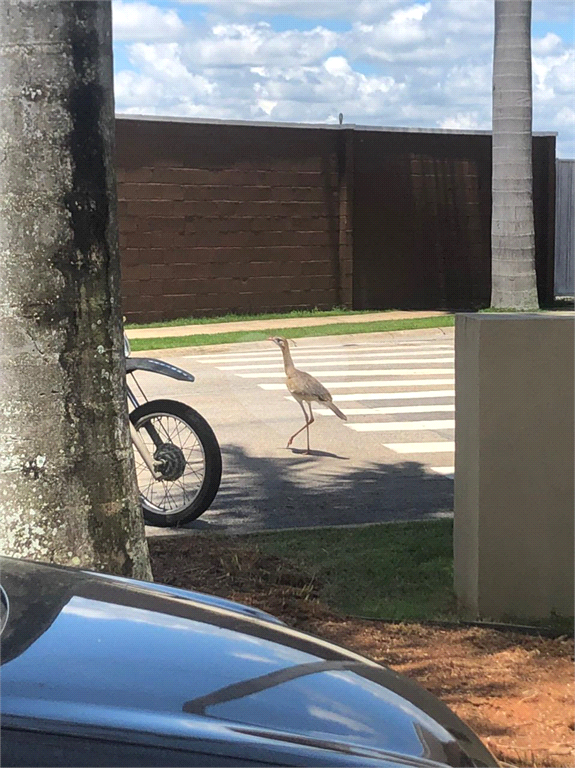 Venda Condomínio Sorocaba Parque Ecoresidencial Fazenda Jequitibá REO934945 15