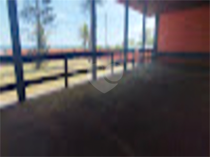 Foto REO935471