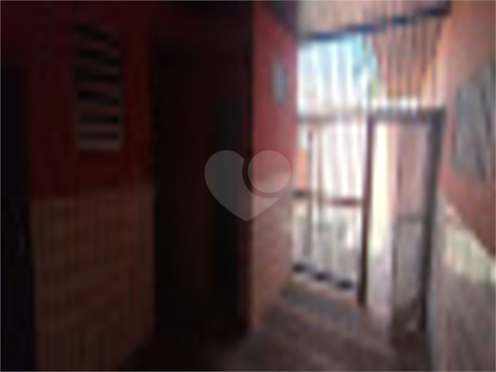 Foto REO935471