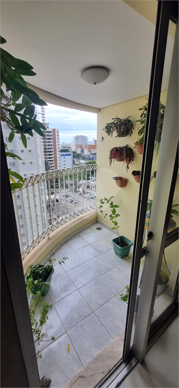 Venda Apartamento São Paulo Vila Azevedo REO935661 34