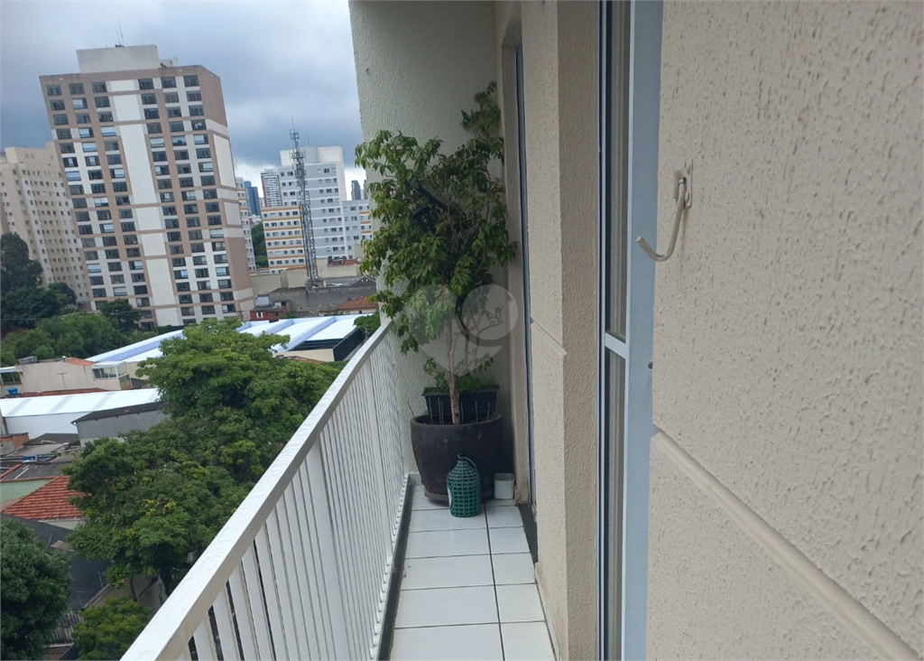 Venda Apartamento São Paulo Cambuci REO935701 16