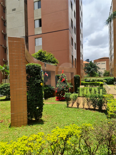 Venda Apartamento São Paulo Cambuci REO935706 2