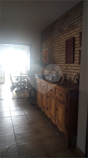 Foto REO935788