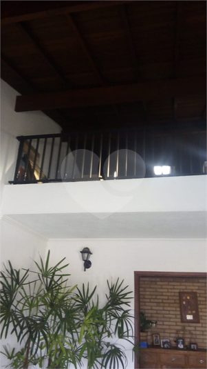 Foto REO935788