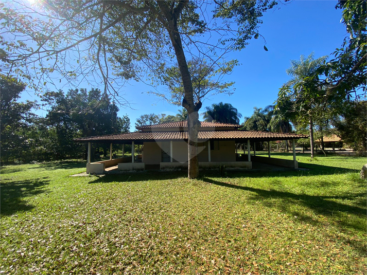 Foto REO936115