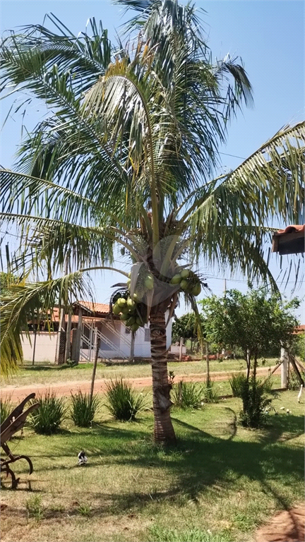 Venda Chácara Iacanga Área Rural De Iacanga REO936264 10