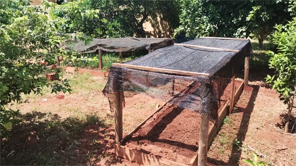 Venda Chácara Iacanga Área Rural De Iacanga REO936264 15