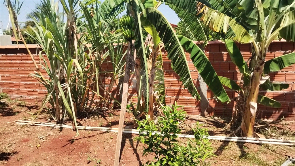 Venda Chácara Iacanga Área Rural De Iacanga REO936264 11