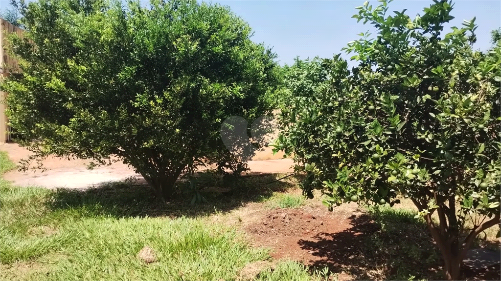 Venda Chácara Iacanga Área Rural De Iacanga REO936264 5