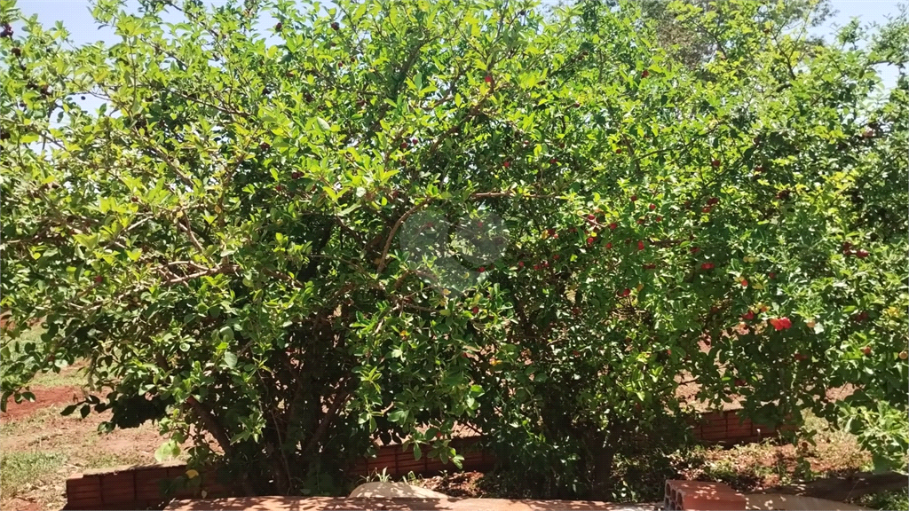 Venda Chácara Iacanga Área Rural De Iacanga REO936264 27