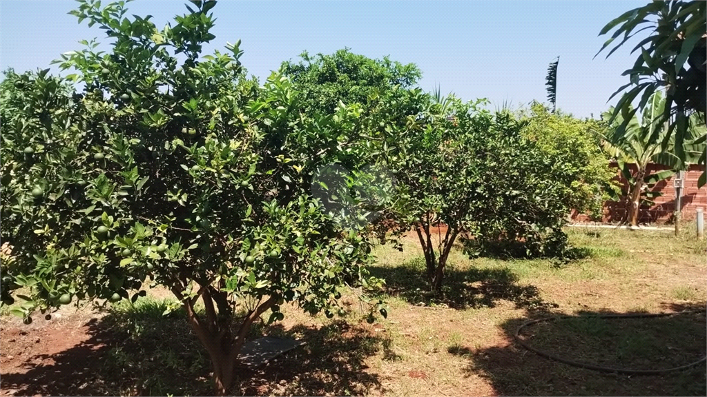 Venda Chácara Iacanga Área Rural De Iacanga REO936264 23