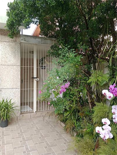 Foto REO936282