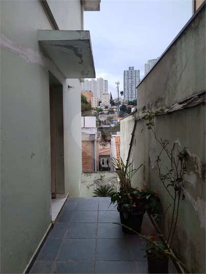 Foto REO936282